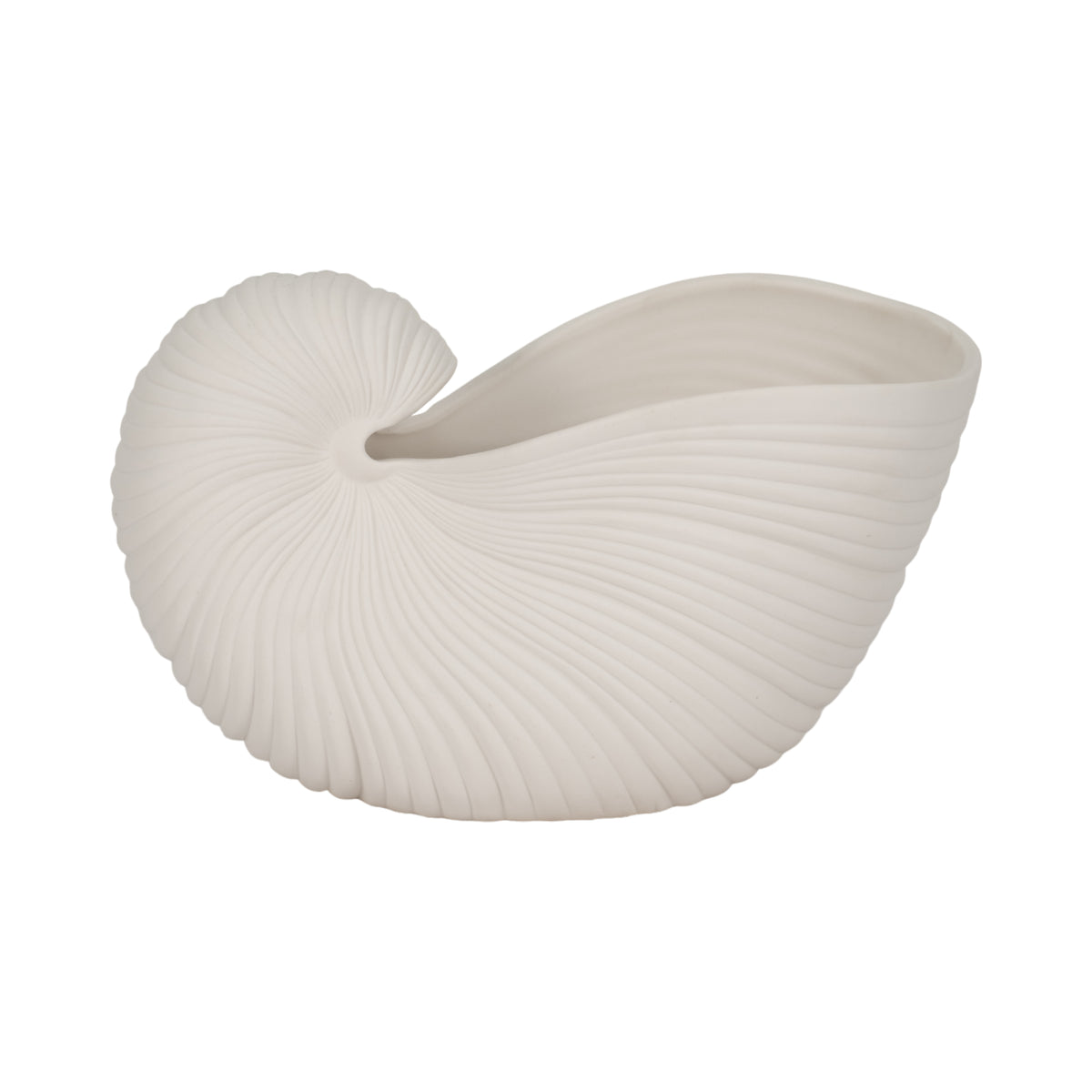 zensoe-zensoe-045-shell-shaped-decorative-vessel image 1